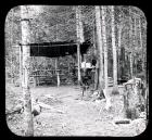 Camp Site
